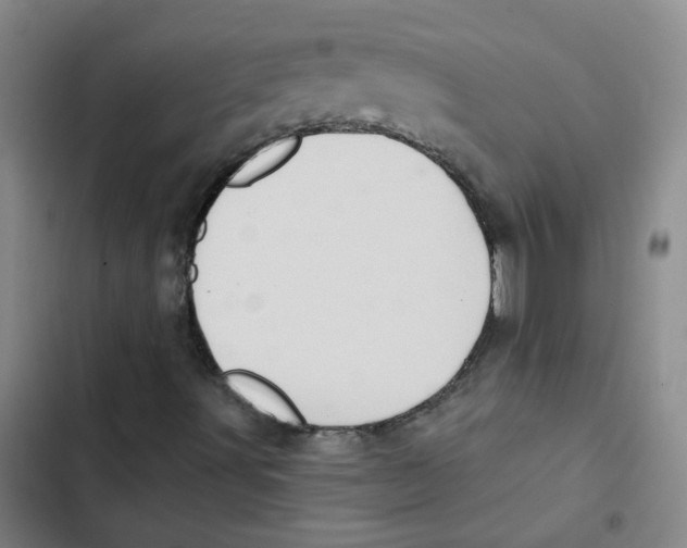 X0000102831491200809151027