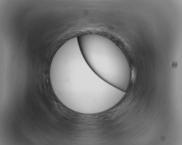X0000102831492200809151027