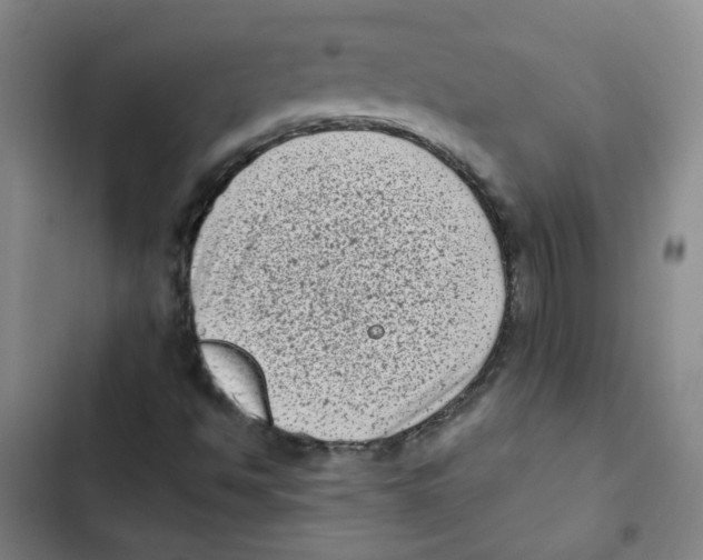 X0000102831494200809151027
