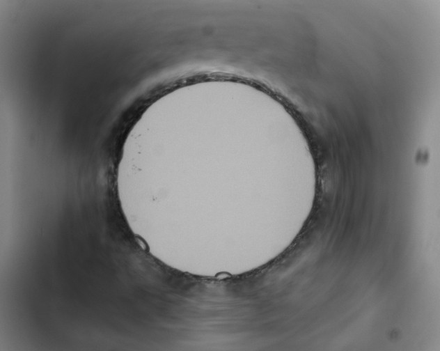 X0000102831495200809151027