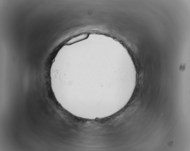 X0000102831496200809151027