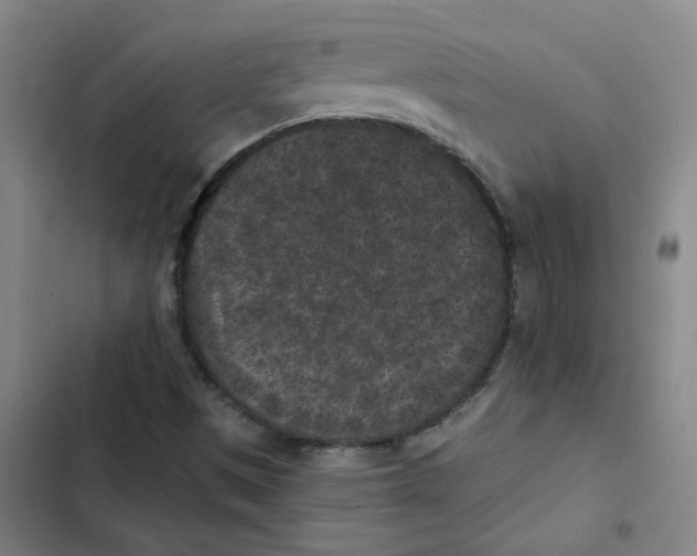 X0000102831497200809151027