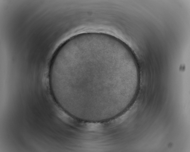 X0000102831498200809151027