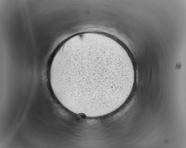 X0000102831501200809151027