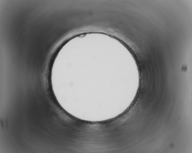 X0000102831502200809151027