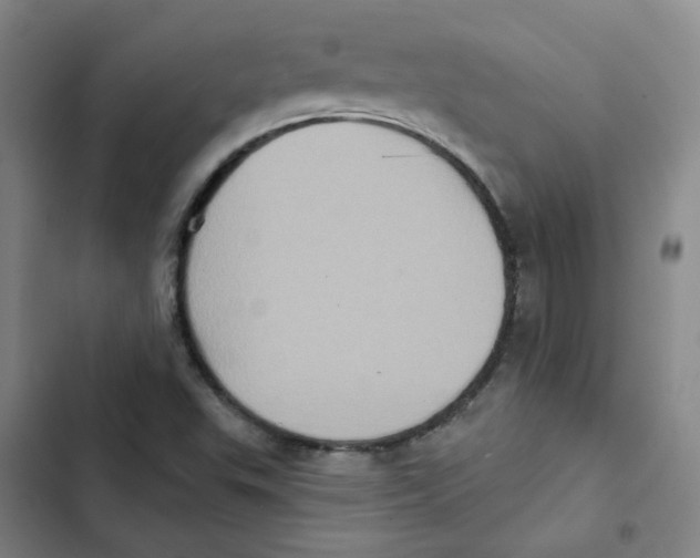 X0000102831503200809151027