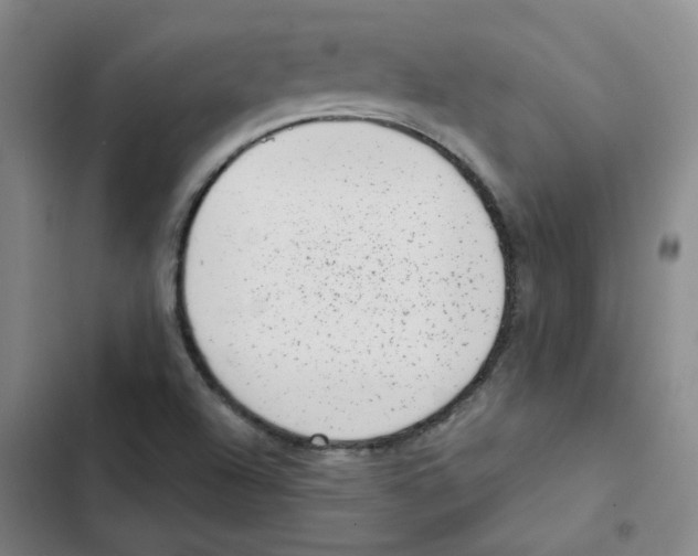 X0000102831504200809151027