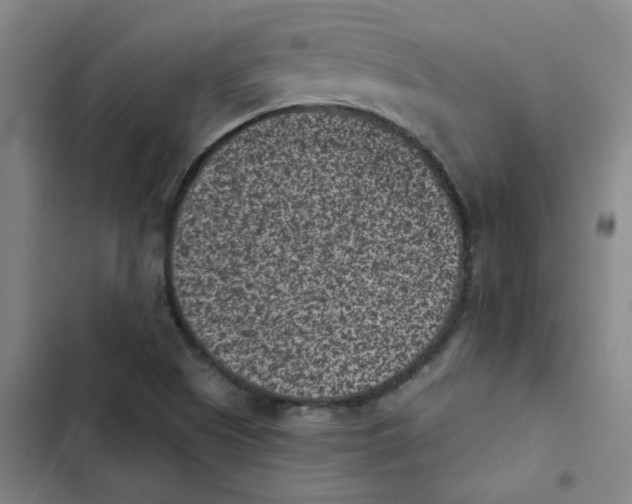 X0000102831505200809151027