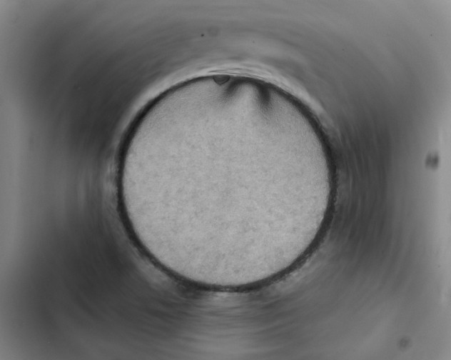 X0000102831506200809151027