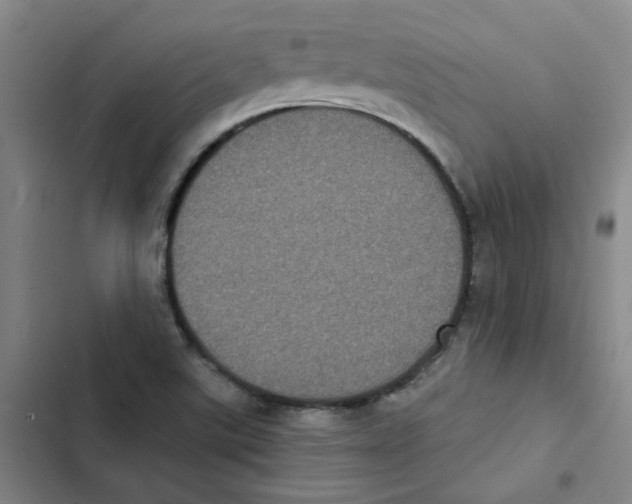 X0000102831507200809151027