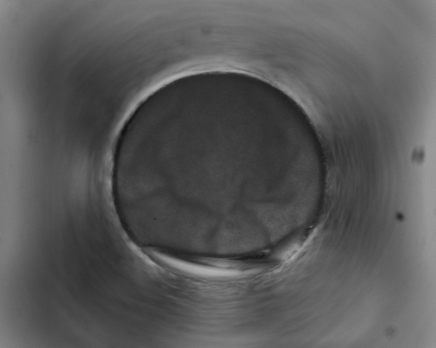 X0000102831508200809151027