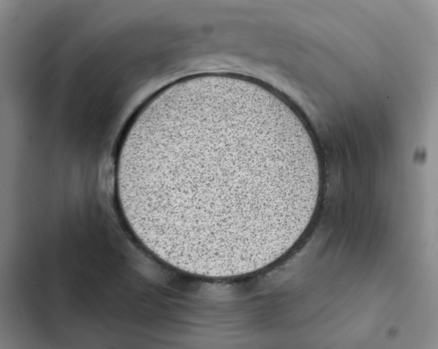 X0000102831509200809151027