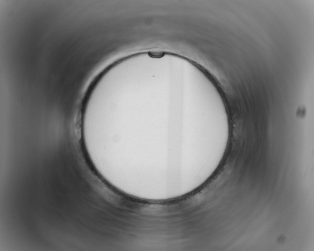 X0000102831510200809151027