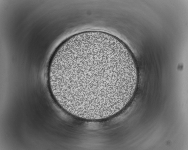 X0000102831511200809151027