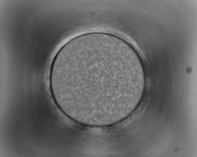 X0000102831512200809151027