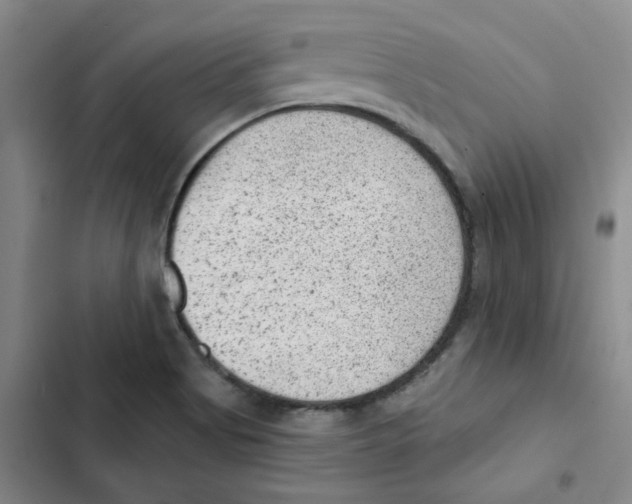 X0000102831513200809151027