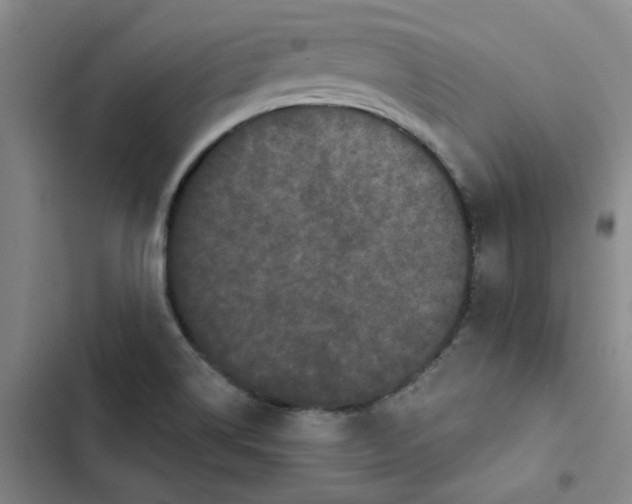 X0000102831514200809151027