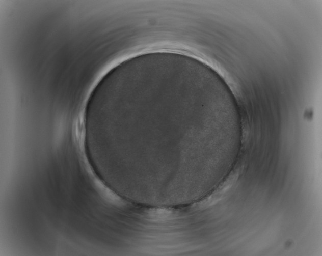 X0000102831515200809151027