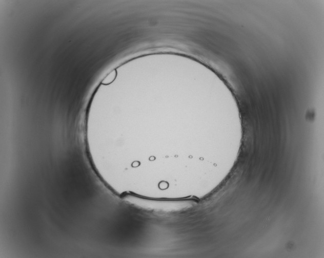 X0000102831516200809151027