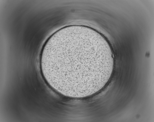 X0000102831517200809151027