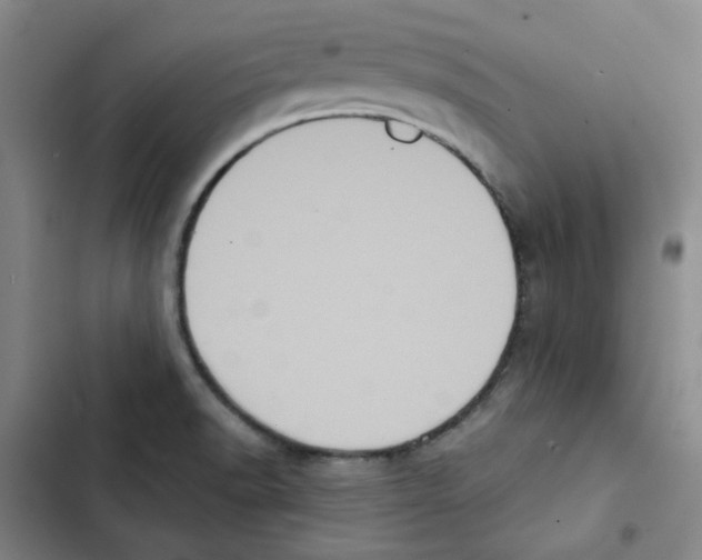 X0000102831518200809151027