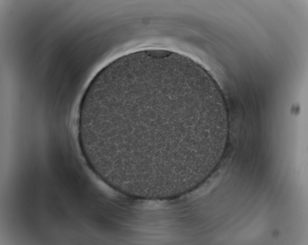 X0000102831519200809151027