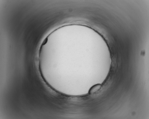 X0000102831520200809151027