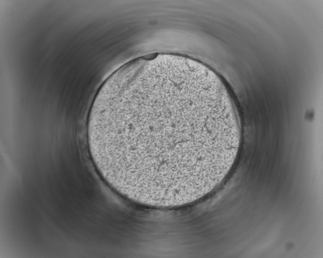 X0000102831521200809151027