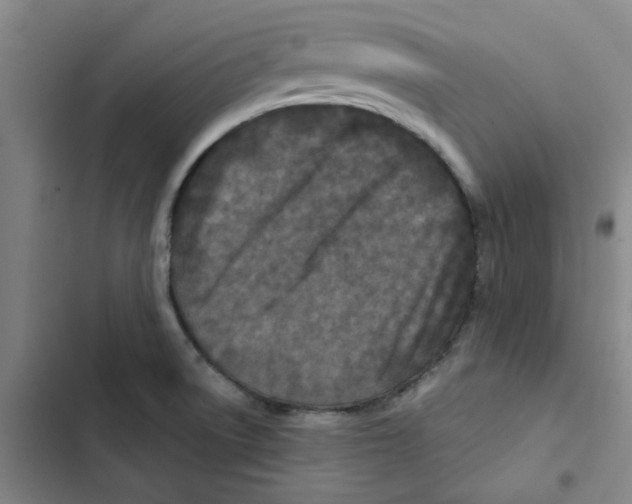 X0000102831522200809151027