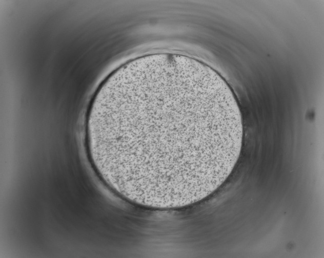 X0000102831523200809151027