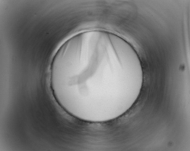 X0000102831524200809151027