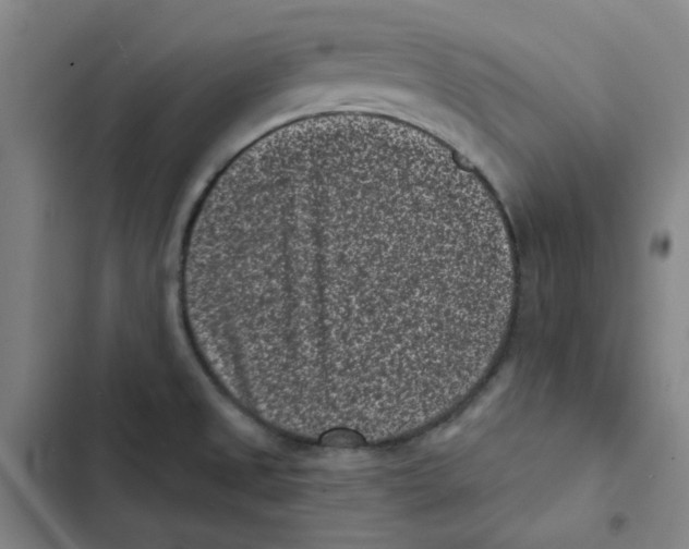 X0000102831525200809151027