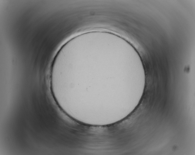 X0000102831526200809151027