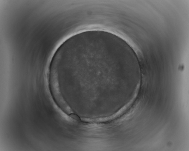 X0000102831527200809151027