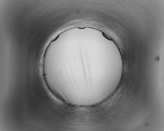 X0000102831528200809151027