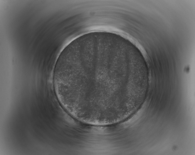 X0000102831529200809151027