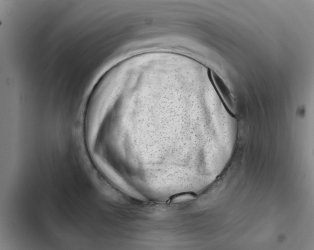 X0000102831530200809151027