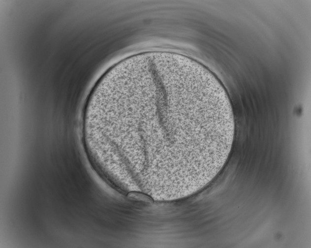 X0000102831531200809151027