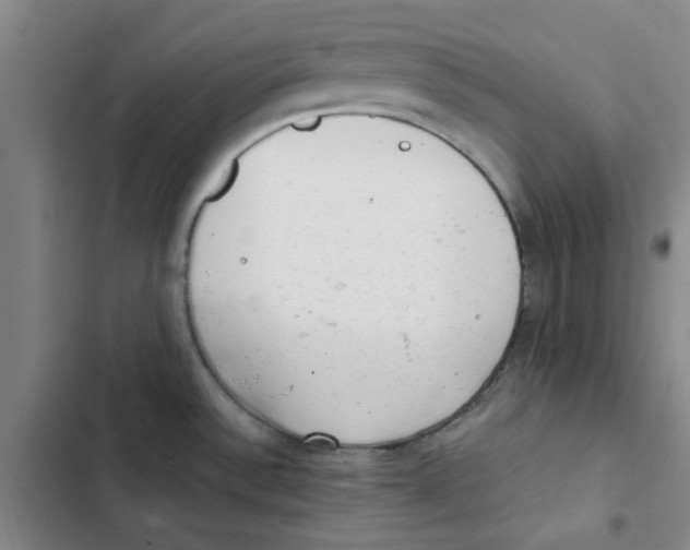X0000102831532200809151027