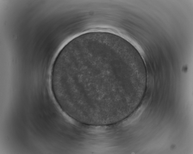 X0000102831533200809151027