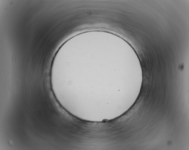 X0000102831534200809151027