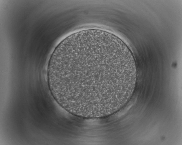 X0000102831535200809151027