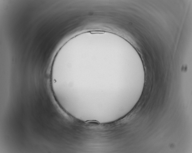 X0000102831536200809151027