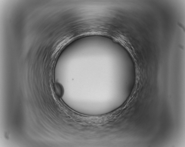 X0000102840001200808181035