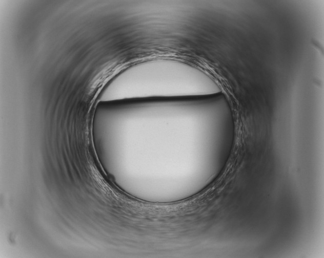 X0000102840002200808181035