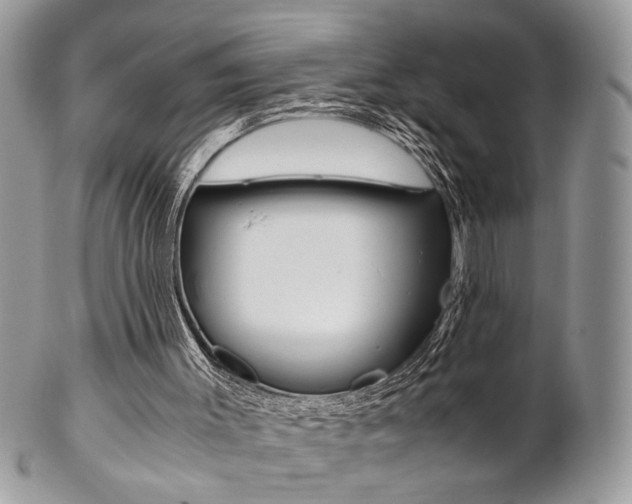 X0000102840003200808181035