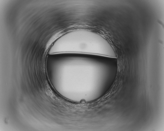 X0000102840004200808181035