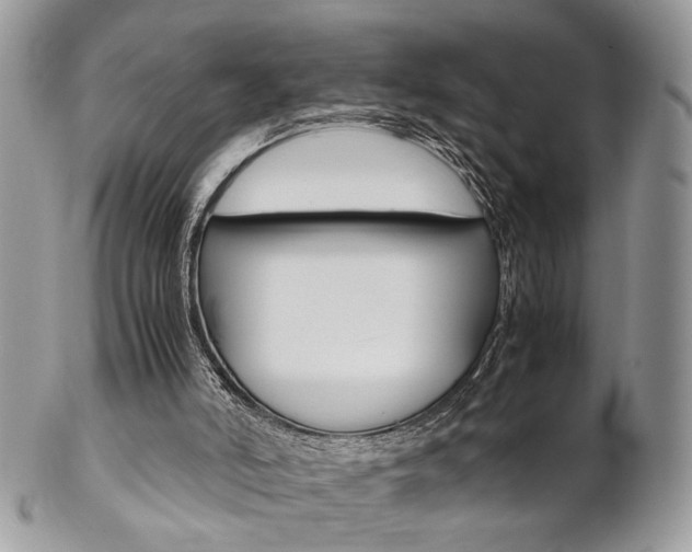 X0000102840006200808181035