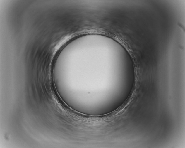 X0000102840008200808181035