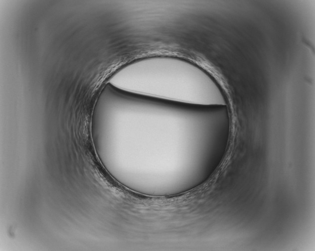 X0000102840009200808181035